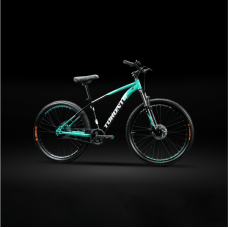 FRASER 24" Single Speed